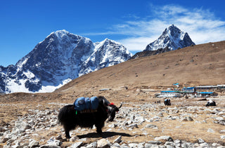 Tee aus Nepal