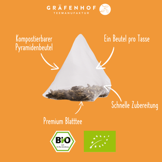 Balanced Vitality Tee, 15 Pyramidenbeutel