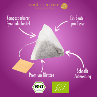 BIO Eistee Mango Maracuja (Cold Brew)