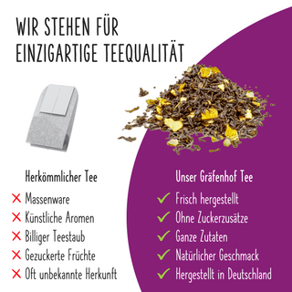 BIO Eistee Mango Maracuja (Cold Brew)