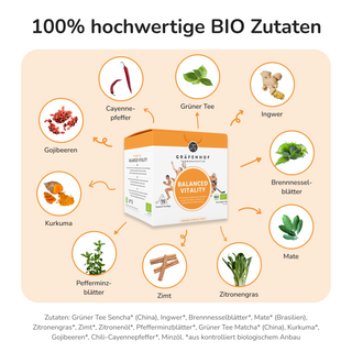 Balanced Vitality Tee, 15 Pyramidenbeutel