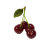 Sauerkirsche