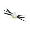 Vanille
