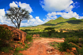 Die Landschaft von Afrika.