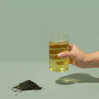 BIO Japan Gyokuro Kagoshima