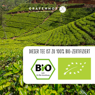 BIO Himbeere Minze