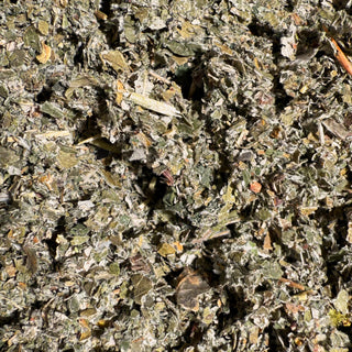 BIO Himbeerblättertee