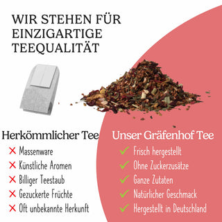 BIO Eistee Himbeere Minze (Cold Brew)