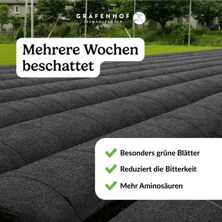 Unser Grüntee wird vor der Verarbeitung mehrere Wochen lang beschattet. Die dadurch erlangten Vorteile: Besonders grüne Blätter, reduziert die Bitterkeit und mehr Aminosäuren.