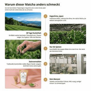 BIO Matcha Kennenlern Set